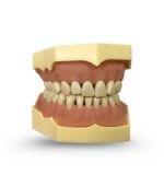 Bundle Materiais Dentários + FAE - Image 5