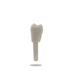 Kavo-Type Tooth Replacement - Image 2
