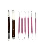 Anatomy & Histology Kit - UFP - Image 2